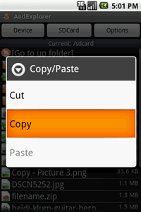 Copy Paste
